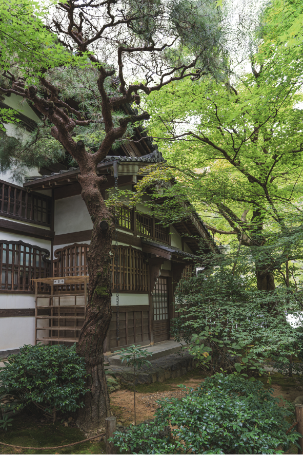Ruhiger japanischer Garten mit altem Baum und traditionellem Haus.