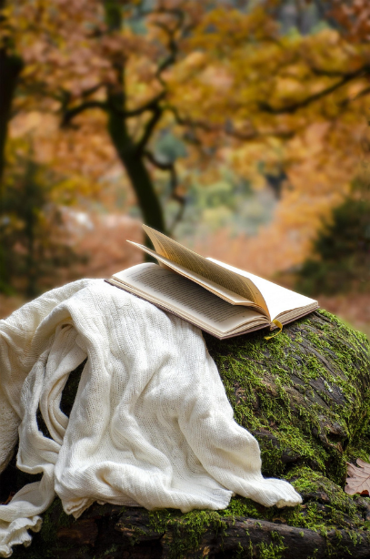 Offenes Buch und Decke auf einem Baumstamm im Wald.
